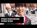 STRAY KIDS BEING STRAY KIDS (aka my favourite moments)