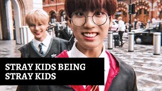 STRAY KIDS BEING STRAY KIDS (aka my favourite moments)