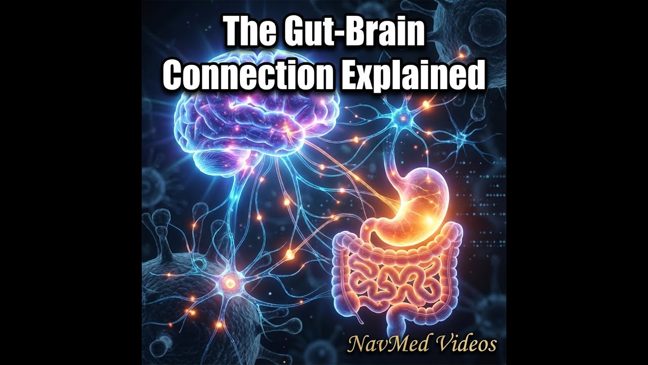 The Gut-Brain Connection Explained