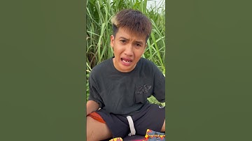 Cậu bé thông minh | Lùn Tippi #tippitv