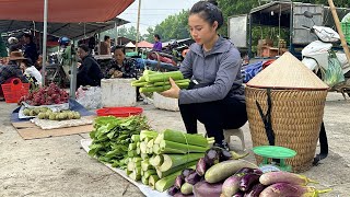 Harvest mosquito nets, eggplants, and choy sum to bring to the market to sell