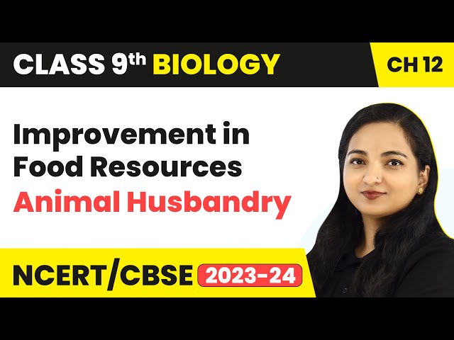 Animal Husbandry - Improvement in Food Resources | Class 9 Biology - YouTube