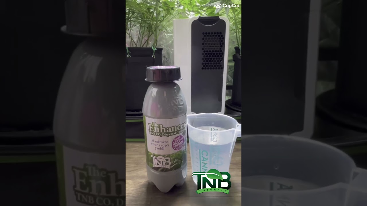 stevegrowsweed - @tnbnaturals 