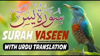 Download Lagu Surah Yasin with Urdu Translation | Beautiful Quranic Recitation | Quran with Urdu \u0026 Hindi Tarjama MP3