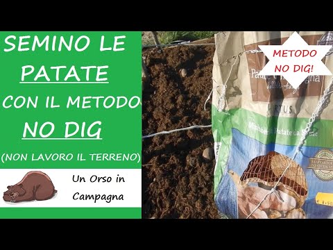 Semina delle patate con il metodo No Dig. Cos&rsquo;è la coltivazione No Dig!