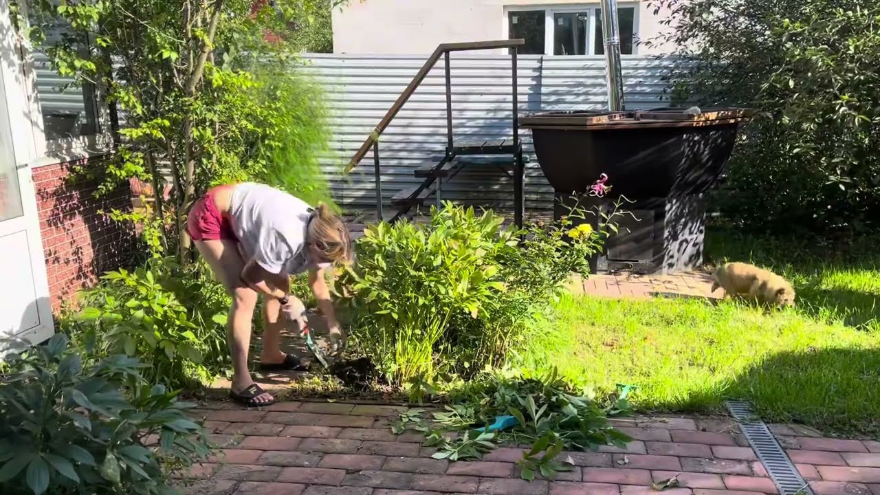 Избавление от сорняков и мульчирование по ленивому.