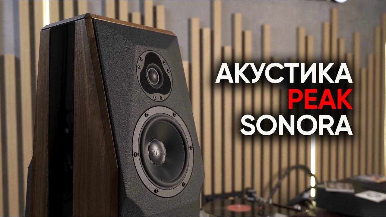 Как выбрать акустические системы для дома Акустические системы ДЛЯ ДОМА