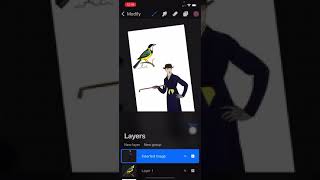 How to create a digital collage with Procreate Pocket. screenshot 4