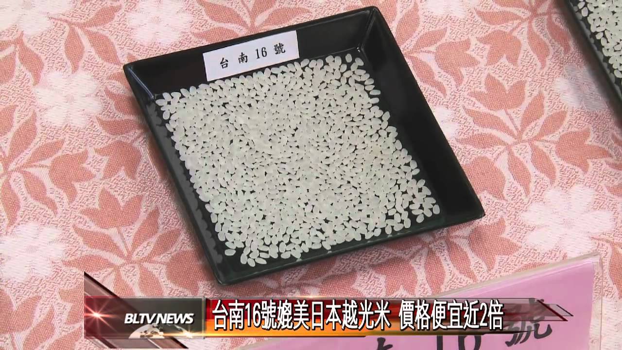 1809 日本越光米改良品種 台南16號 誕生 Youtube 1809 日本越光米改良品種 台南16號 誕生 Youtube