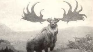 Hewan Yang Sudah Punah 