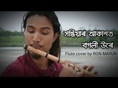      Sandhiyar akaxot bogoli ure flute covervideo created by Ron Mayur 2019
