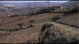 Quinta do Mourão, Lamego