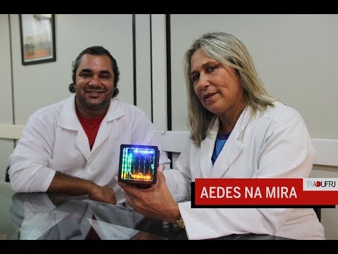 Aedes na mira