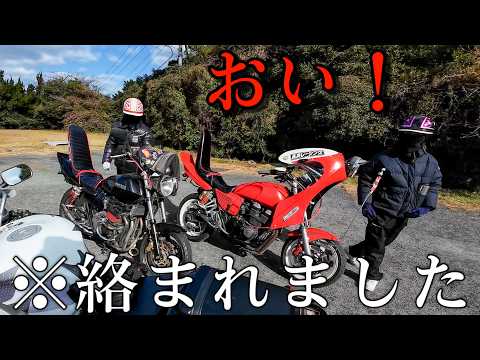 にゃん CYBER・あしのうらタッチペン ねこにゃん（New 3DS用