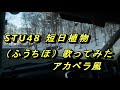 STU48 短日植物 (ふうちほ) 歌ってみた アカペラ風