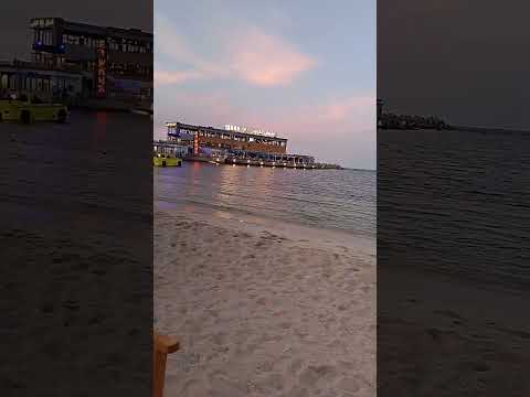 أنا جدع أنا أناني كلام فرسان محمد منير و ويجز ترند٢٠٢٥  اشتراك بالقناة اكسبلور