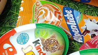 : CANDY ROSE STORE 767