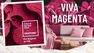 Color Of The Year 2023 Viva Magenta - Pantone Color Of The Year 2023