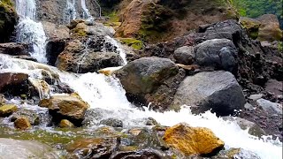 Peaceful Stream ASMR: Nature's Lullaby to Banish Stress and Insomnia | LuLu Sounds