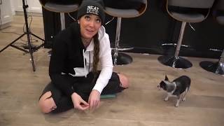 Can Marbles Stand On His Hind Legs|4|Best of Jenna Marbles|Julien|Funny|Cute|Comedy|Reaction|Vlogger