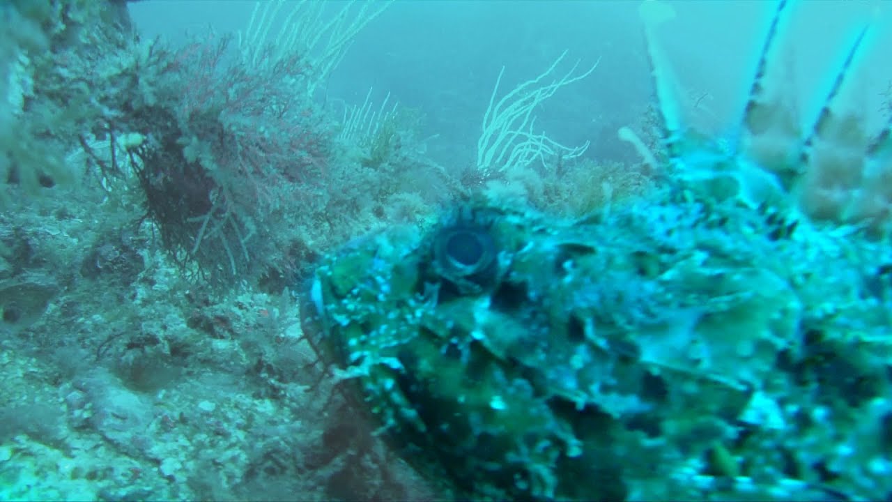 full hd camera mobile phone Midland XTC-300 - Buceando en las Illes Medes