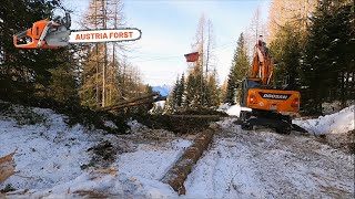 Schönes Holz by Austria Forst 9,008 views 8 days ago 14 minutes, 9 seconds