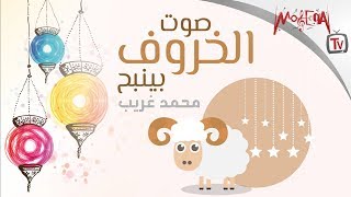 صوت الخروف بينبح - مااء مااء - كل سنه وانتم طيبين