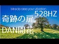 【528HZ】 奇跡の扉瞑想、DNA開花（1時間）Miracle Raise your vibration 528hz