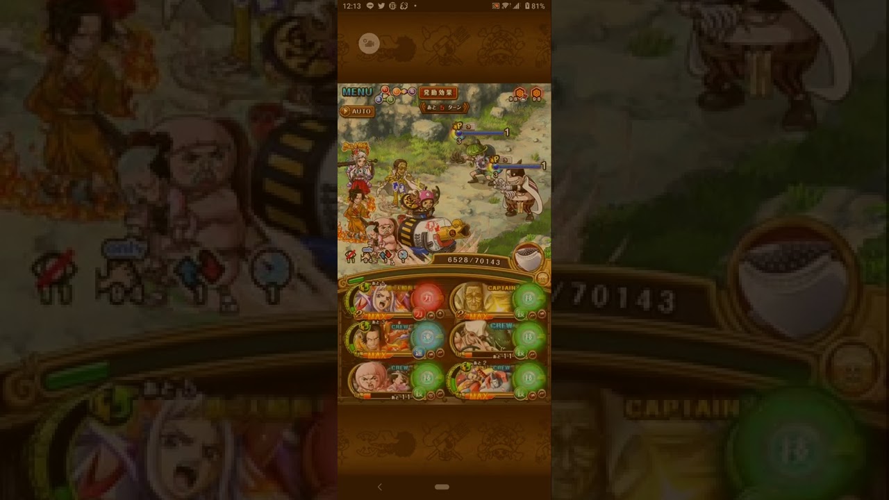 クロラタッドシロップのリーフレット