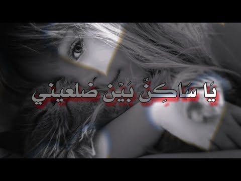 ياساكن بين ضلعي حالات واتس اب دينية حزينة اناشيد اسلامية حزينة عن الفراق مقاطع قصيرة ستوريات حزينة