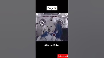 Animals reaction in zero gravity #animalscience #animals #sciencefacts #amazingfacts #shorts #viral