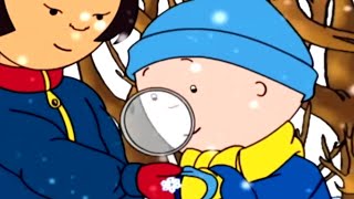 Caillou and the Snowflakes | Caillou Cartoon