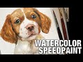 Brittany Spaniel Puppy Watercolor Speed Paint の動画、YouTube動画。