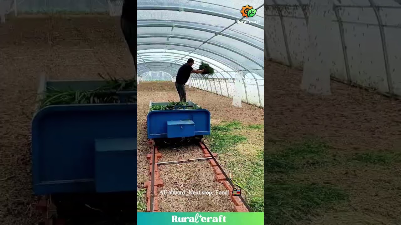 This Bug Farm & Its Tiny Train is Weirdly Fascinating! 😂 All Aboard the Grass Express! 