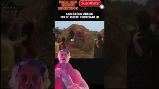 Barney El Dinosaurio Lo Se Lo Se Mucha Paja