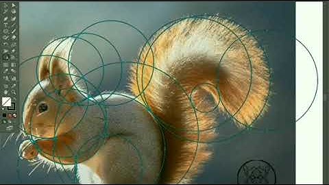 Editing squirrel in photoshop