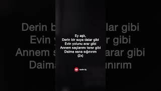 Sezen Aksu - Ey Aşk (Şarkı) Resimi