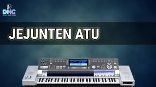 KARAOKE LAGU GAYO, JEJUNTEN ATU | Full Lirik.