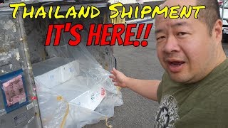 *IMPORT* and *UNBOXING* LIVE TROPICAL FISH from THAILAND - Part 1