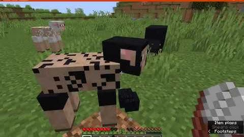 Sheep Consistency 1.15.2 & 20w22a (1.16) Fabric Mod Overview