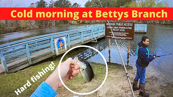 Fishing at Bettys Branch off the boat dock