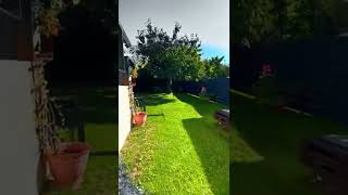 🏠 haus in weimar 📲 jetzt direkt kontaktieren