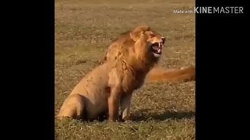 Khi Sơn Tùng M-TP hỏi cô Yến và Khá Bảnh xem tóc có đẹp không và cái kết