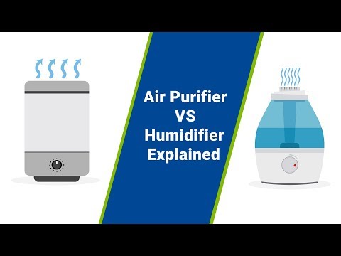 वायु शोधक बनाम Humidifiers (वायु शोधक लाभ बनाम Humidifier लाभ)