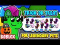 I TRICK OR TREATED FOR 24 HOURS AND GOT LEGENDARY PETS! Roblox Overlook Bay Update