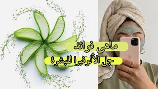 فوائد جل الألوفيرا  (جل الصبار)  // +ماسكات للبشرة 