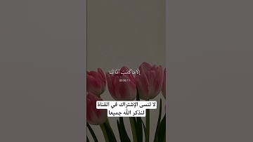 قرآن كريم تلاوة خاشعة راحة نفسية 🤍 أكتب شيئ تؤجر عليه 🤲🏻