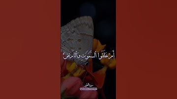 الشيخ المنشاوي من سورة الطور 🖤 | سورة الطور - محمد صديق المنشاوي | #المنشاوي #قران_كريم #quran