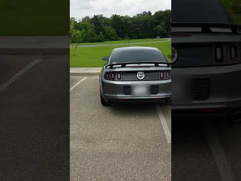 Mustang 5.0 Borla