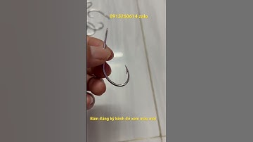 Lưỡi câu rùa kéo là lụm, #shorts